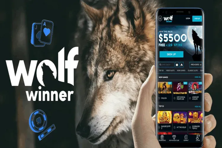A Beginner's Guide to Playing Casino Games in Australia 1 Guide to Playing Casino Games