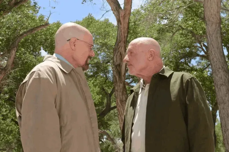 Mike Ehrmantraut with heisenberg