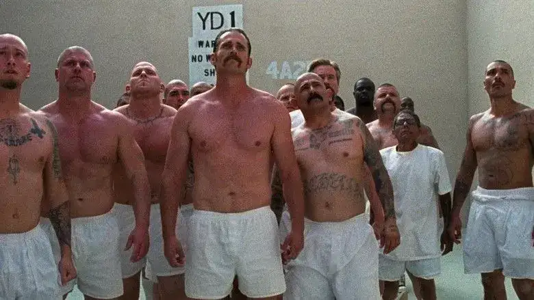 felon (2008)