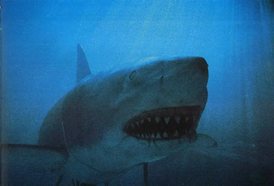 jaws 3