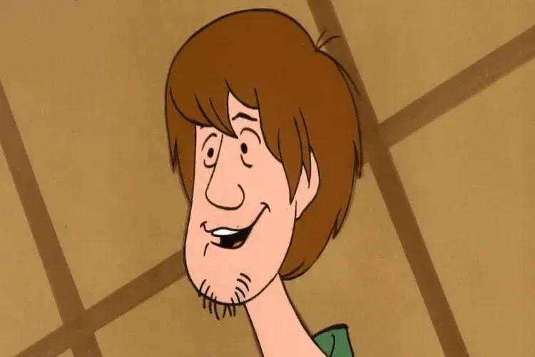shaggy